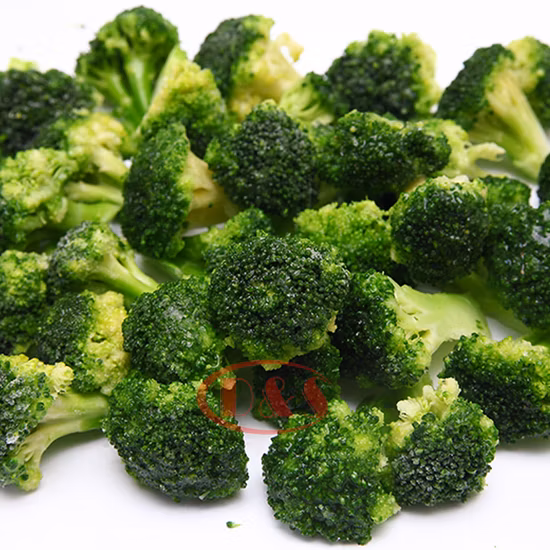 Brócoli fresco de nueva cosecha de China para exportar