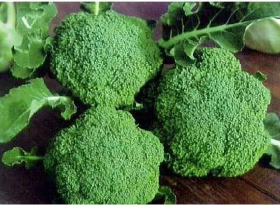 Verduras verdes frescas de alta calidad, alimentos saludables, brócoli fresco