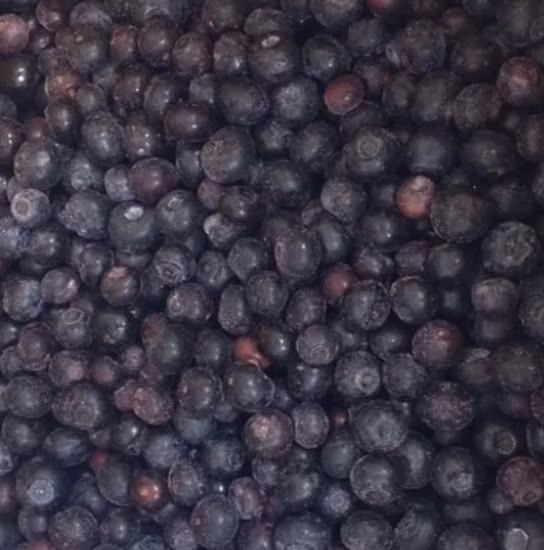 Albaricoque cortado en cubitos congelado IQF con frutas congeladas de alta calidad