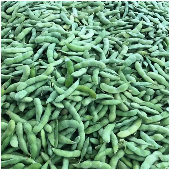 Proveedor experimentado de agricultura con núcleo de edamame de soja congelada IQF de alta calidad